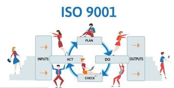 黃島區公司注冊與企業管理服務全攻略